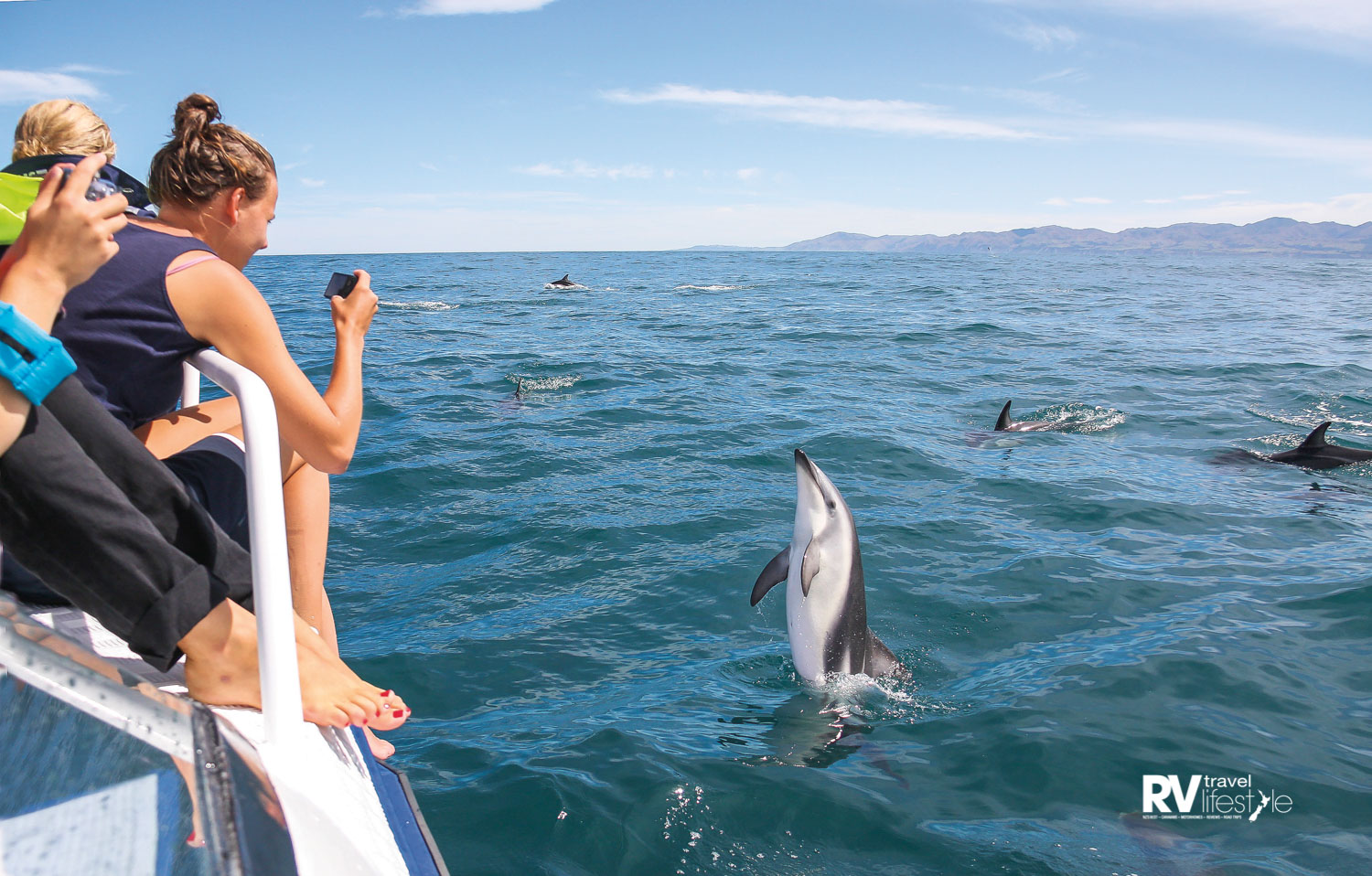 Dolphin Encounter Kaikoura. Photo Dennis Buurman