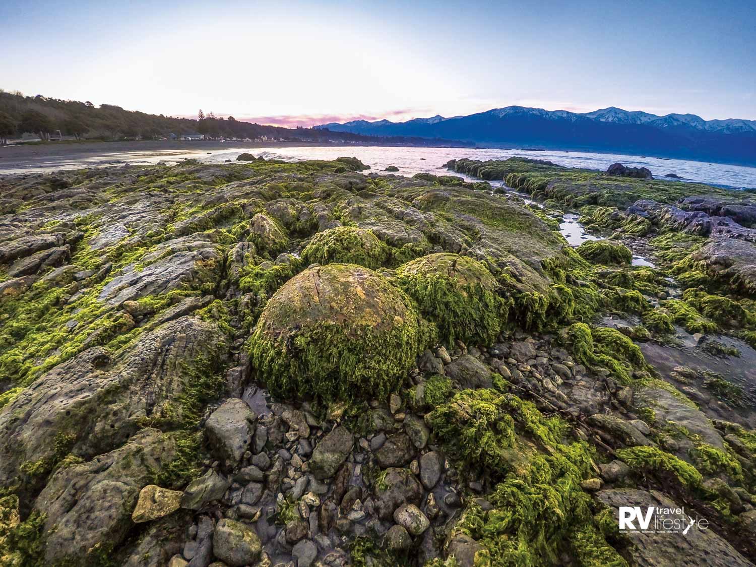 Quirky rock formations were exposed with the uplifted seabed. Photo Bare Kiwi
