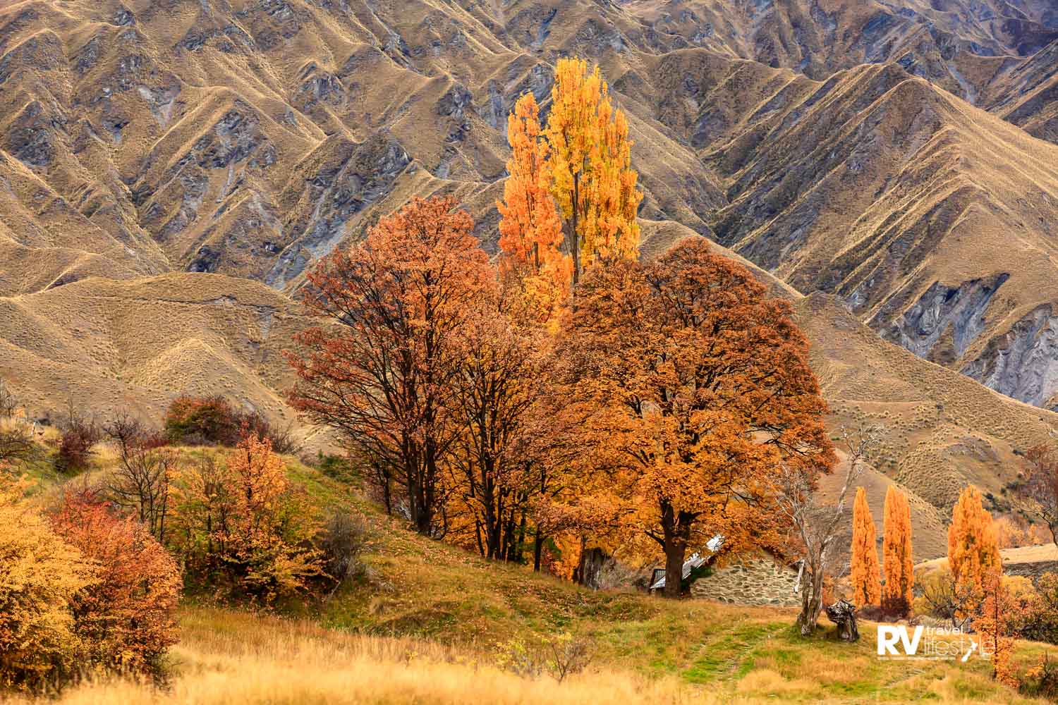 The historic gold-mining ghost town of Macetown, 15km from Arrowtown, Otago, New Zealand. Autumn turns the poplar trees to gold. Picture by Mike Langford