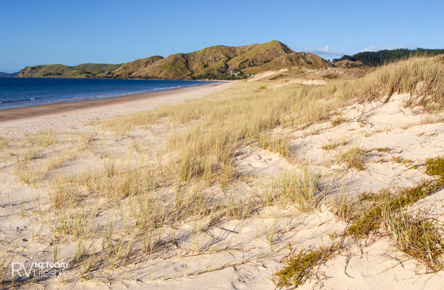 Otama Beach is one of the many white-sand beaches to explore within an hour’s drive of Whitianga